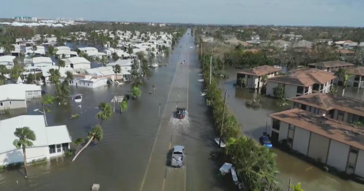 Minnesota natives living in Florida try to keep their spirits up after ...