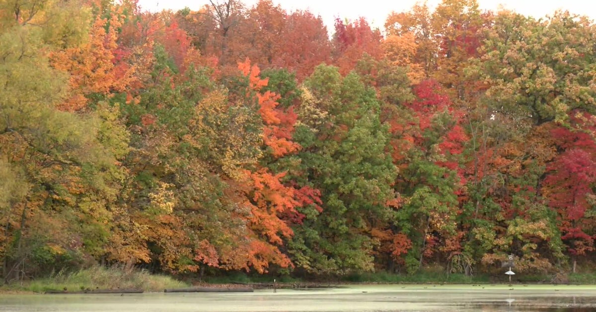 After slight delay, fall colors are out in full force - CBS Minnesota