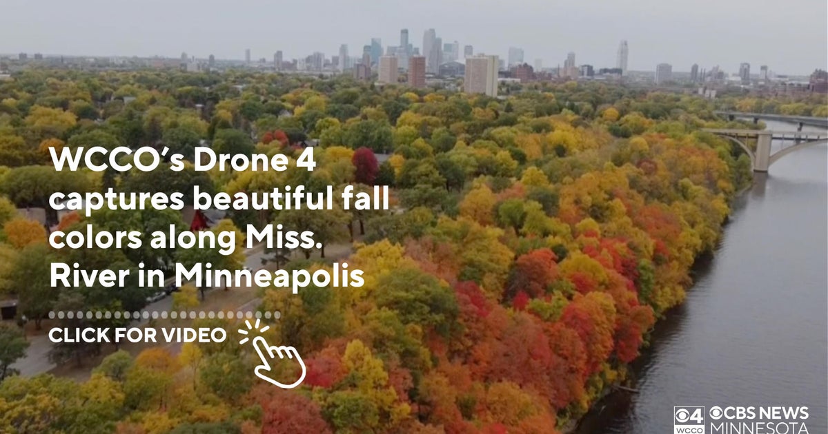 Moment of Zen: Fall colors along Mississippi River in Minneapolis - CBS ...