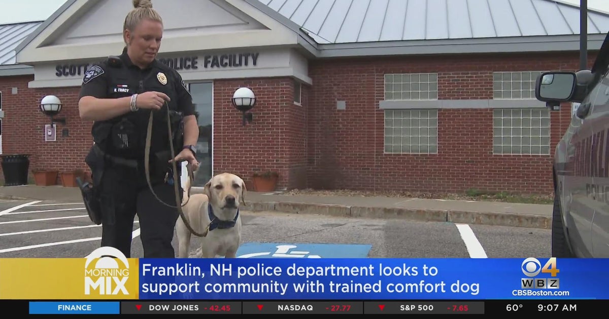 Franklin, NH police department supports community with comfort dog