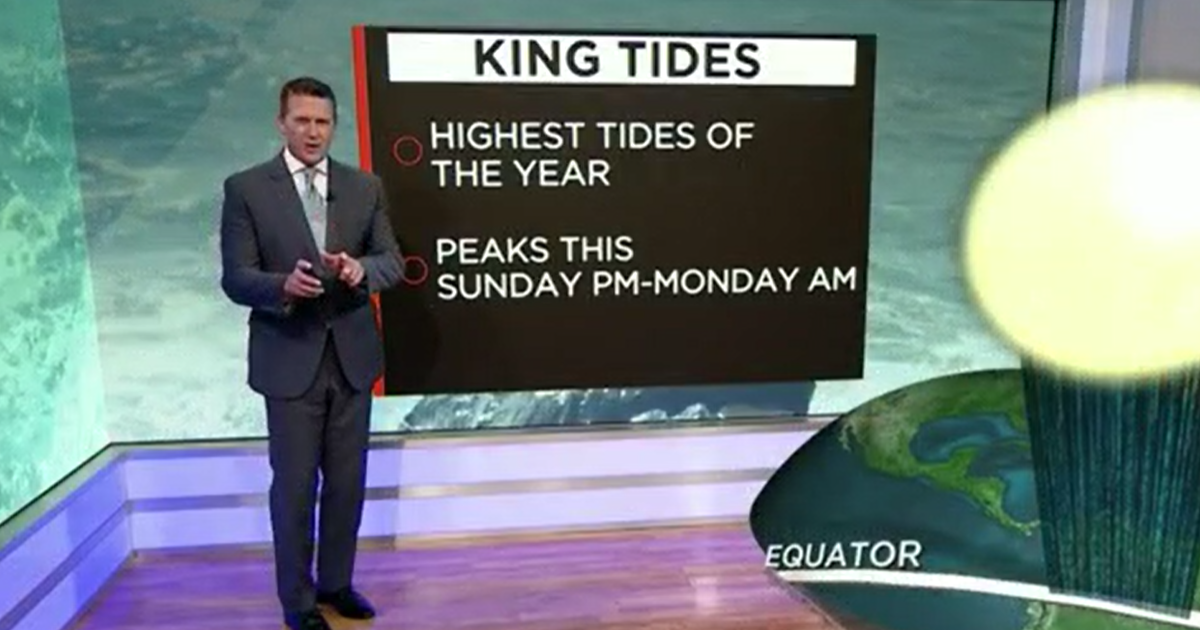 South Florida king tides: An interactive video clip explainer