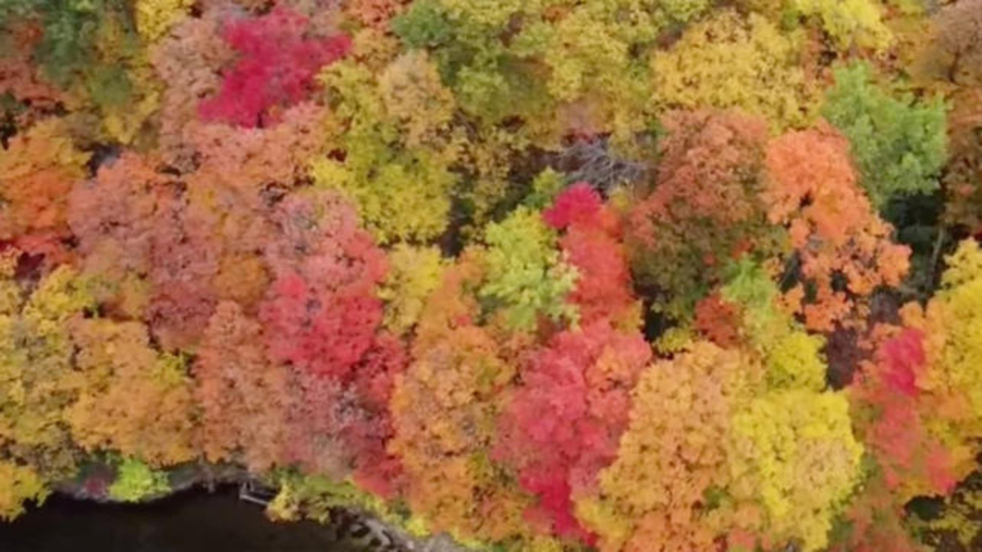 Drone captures stunning fall colors in Minnesota