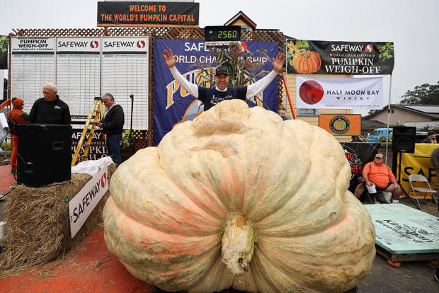 Minnesota wins the World Championship of Pumpkin in Half Moon Bay 