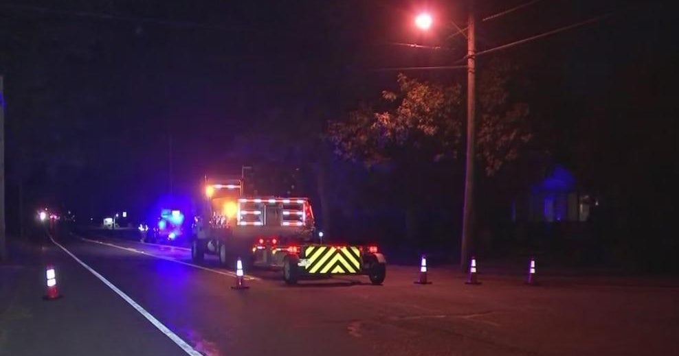 Police Pedestrian hit, killed by driver in Salem County CBS Philadelphia