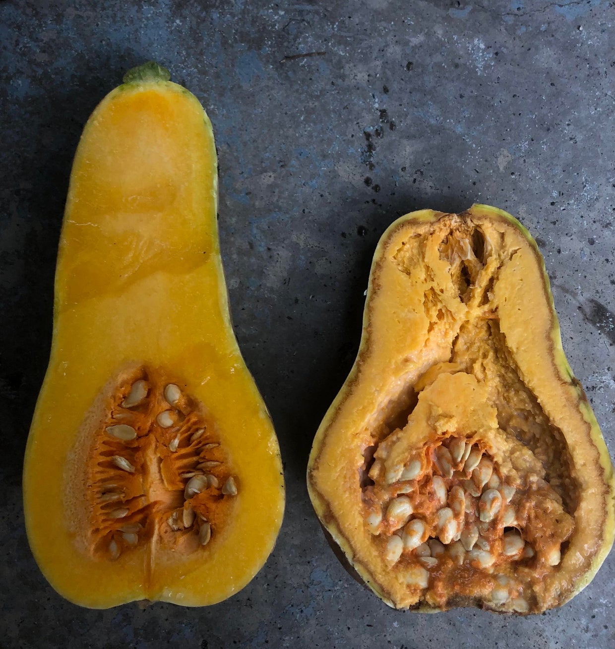 Soft rot in a squash 