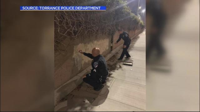 torrance-pd-covers-up-graffiti.jpg 