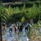U.S. to allow Americans to sponsor Venezuelan asylum-seekers