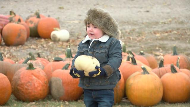 pumpkin-patch-pkg-wcco2675-00-01-2118.jpg 