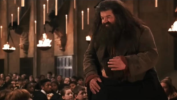 robbie-coltrane-harry-potter-and-the-chamber-of-secrets.jpg 