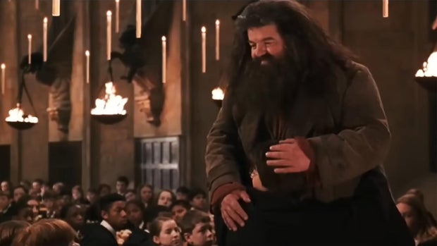 robbie-coltrane-harry-potter-and-the-chamber-of-secrets.jpg