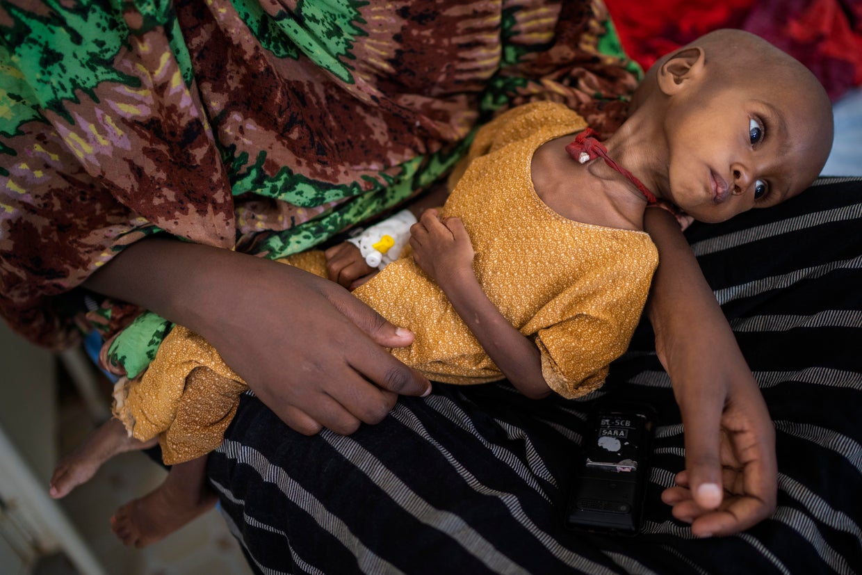 Pictures of the Week Europe and Africa Photo Gallery 