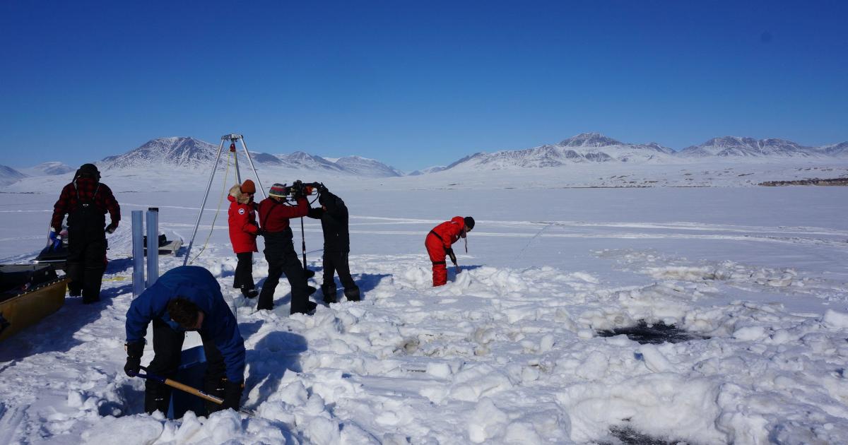 Warming climate could boost Arctic "virus spillover" risk, research shows
