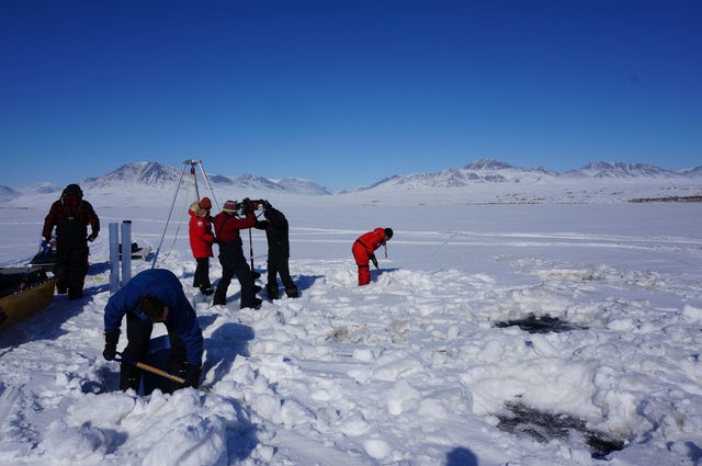 CANADA-ARCTIC-SCIENCE-ENVIRONMENT-HEALTH 