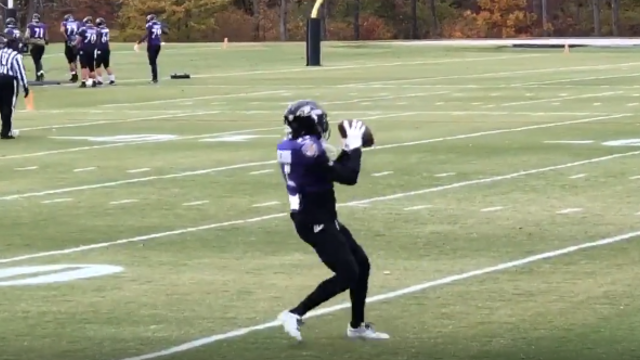 DeSean Jackson practices for first time as a Raven, Sunday's status up in  the air - CBS Baltimore