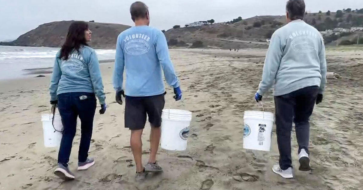 Trio's nonprofit helps preserve Bay Area beaches with trash clean-up ...