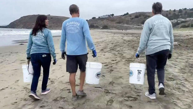 Volunteer beach clean-up 