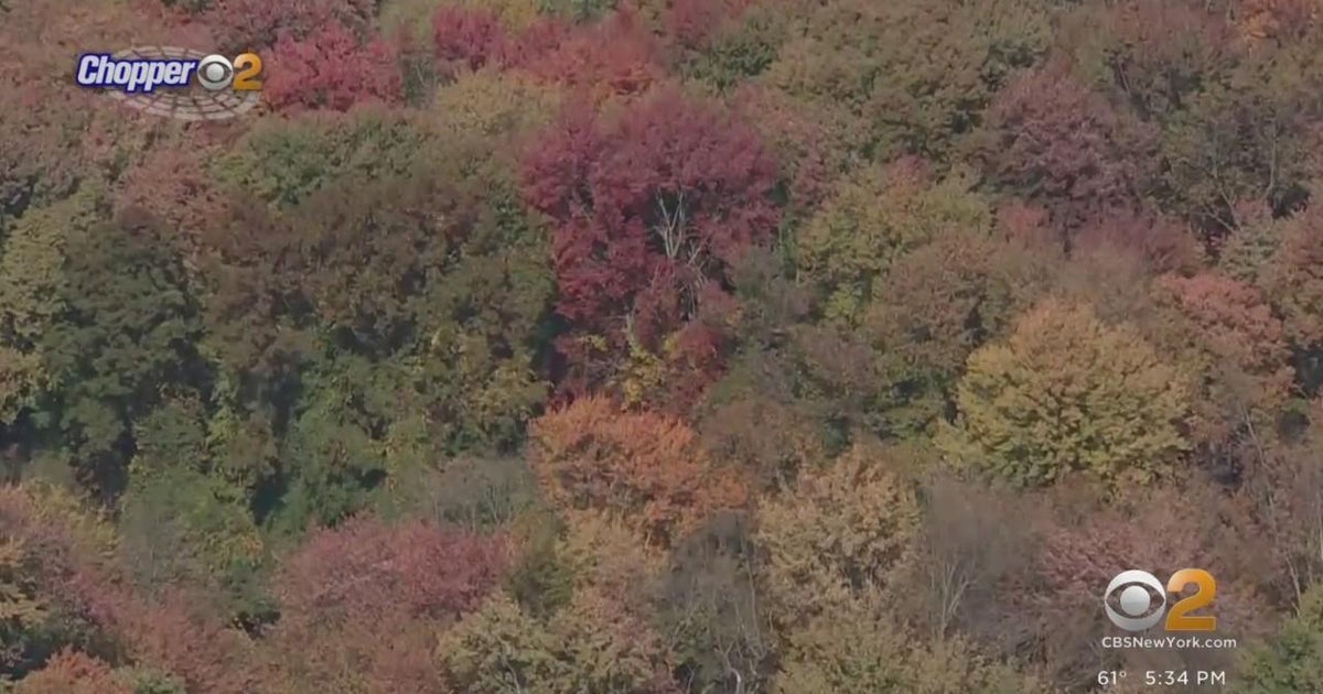 Where and when to see the best fall foliage in the TriState Area CBS