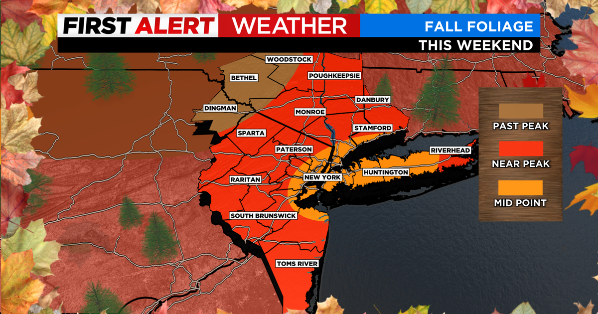 It's peak fall foliage season for areas not far from New York City ...