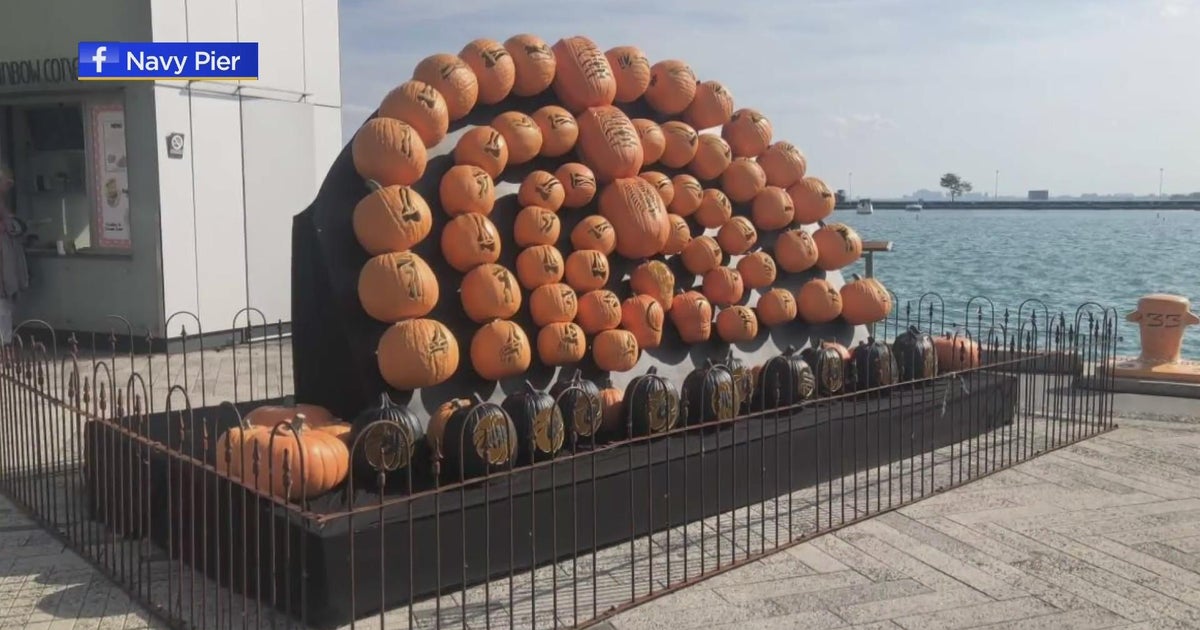 Fall festivities at Navy Pier including pumpkin displays and haunted maze continues this weekend