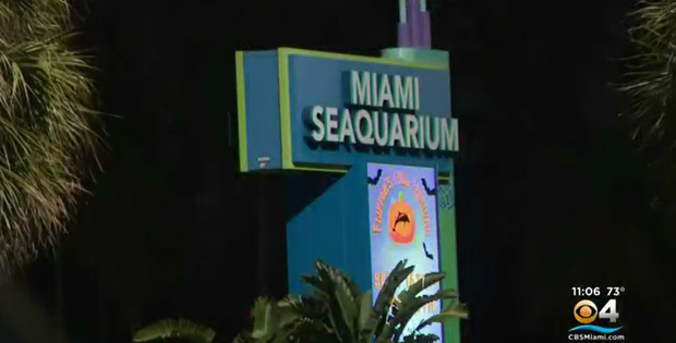 Miami Seaquarium