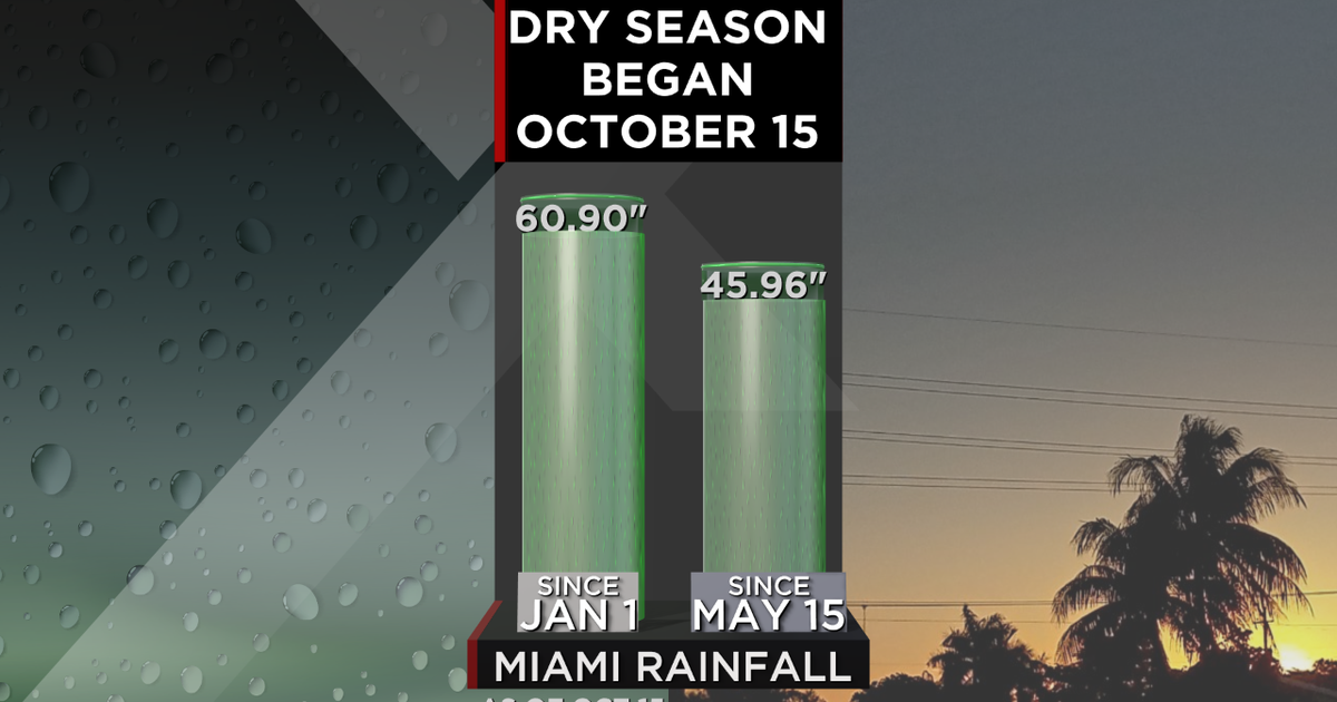 Dry period has arrived for South Florida but is it genuinely that diverse from the damp period?