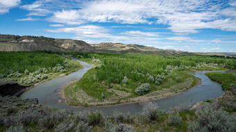 Why American Prairie doesn't plan to lobby Congress for a new national park 