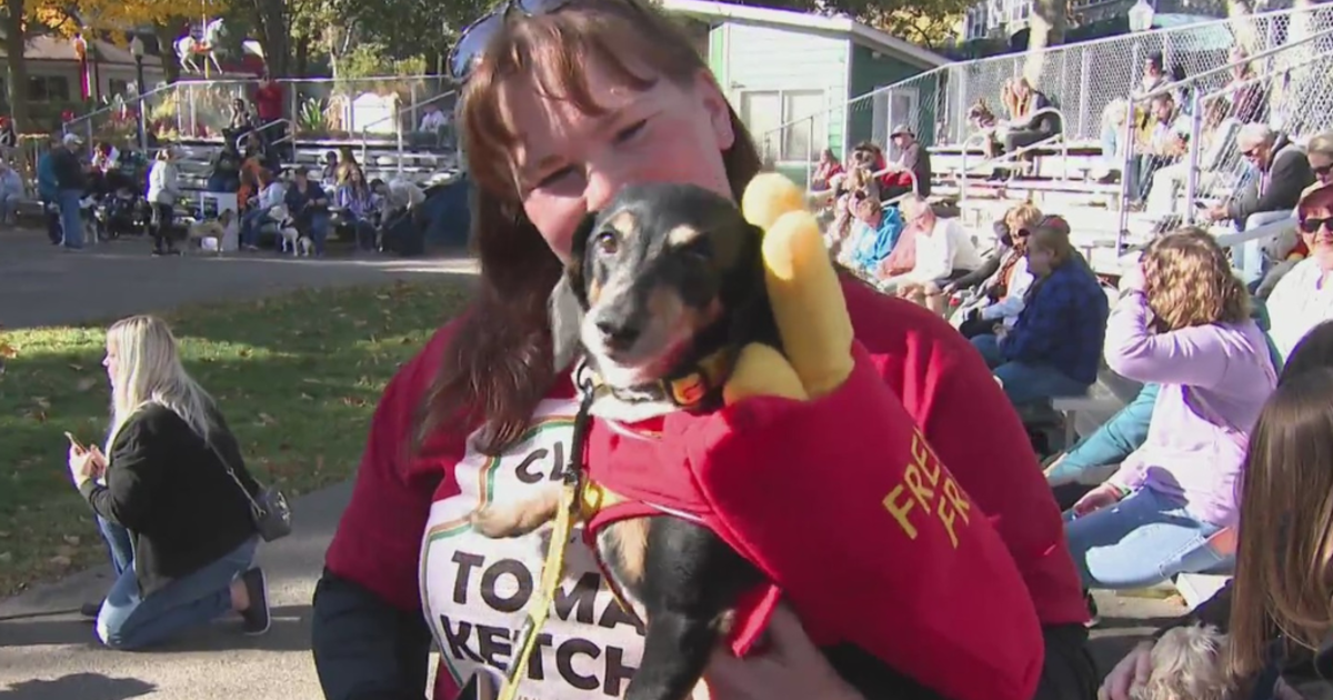 Pups in costumes parade around Kennywood for 'Dogtober Fest' CBS