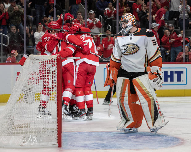 Anaheim Ducks v Detroit Red Wings 