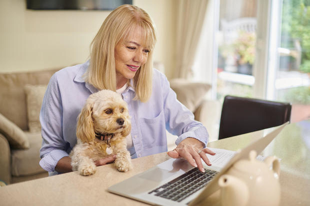 pet insurance search 