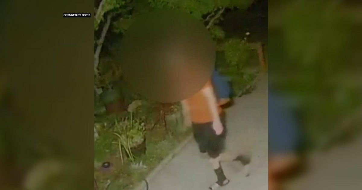 Neighbors in Orangevale still on edge after alleged cat killer arrested, released