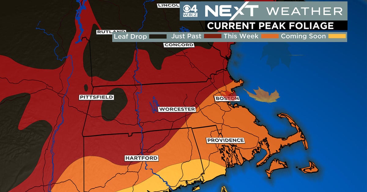 Top spots to leaf peep as foliage peaks in Boston - CBS Boston