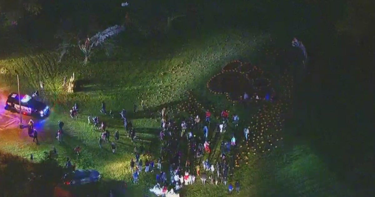 Friday Flyover Arcadia Elementary School pumpkin patch CBS Chicago