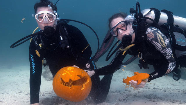 underwater-pumpkin-carving.jpg 