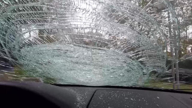 tossed-pumpkin-smashes-windshield-in-hauppauge.jpg 