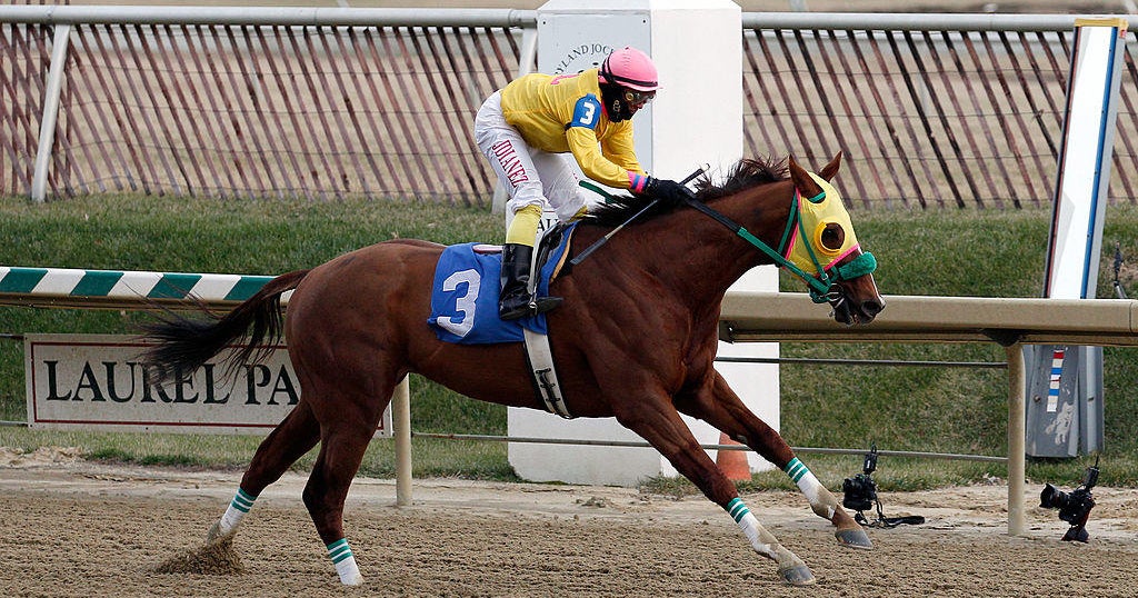 Horse death at Laurel Park under routine review; activist says 12 have died this year in