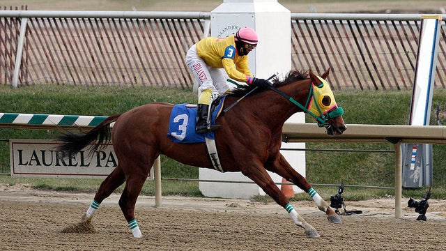 Rapid Redux Goes For His 22nd Consecutive Victory
