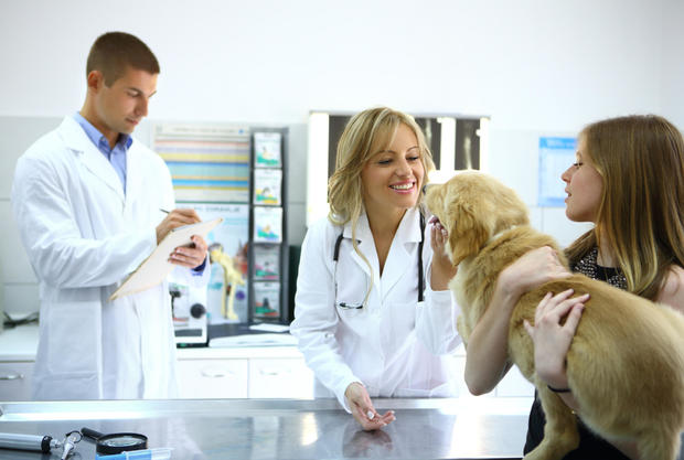 Girl taking her dog to the vet. 