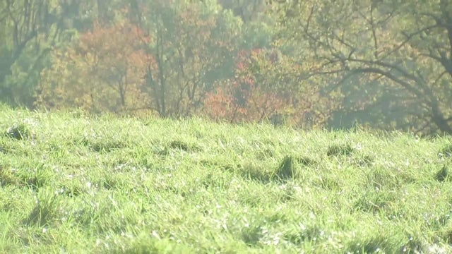 e421e478b9a5270d129604240439ed84-7.jpg 