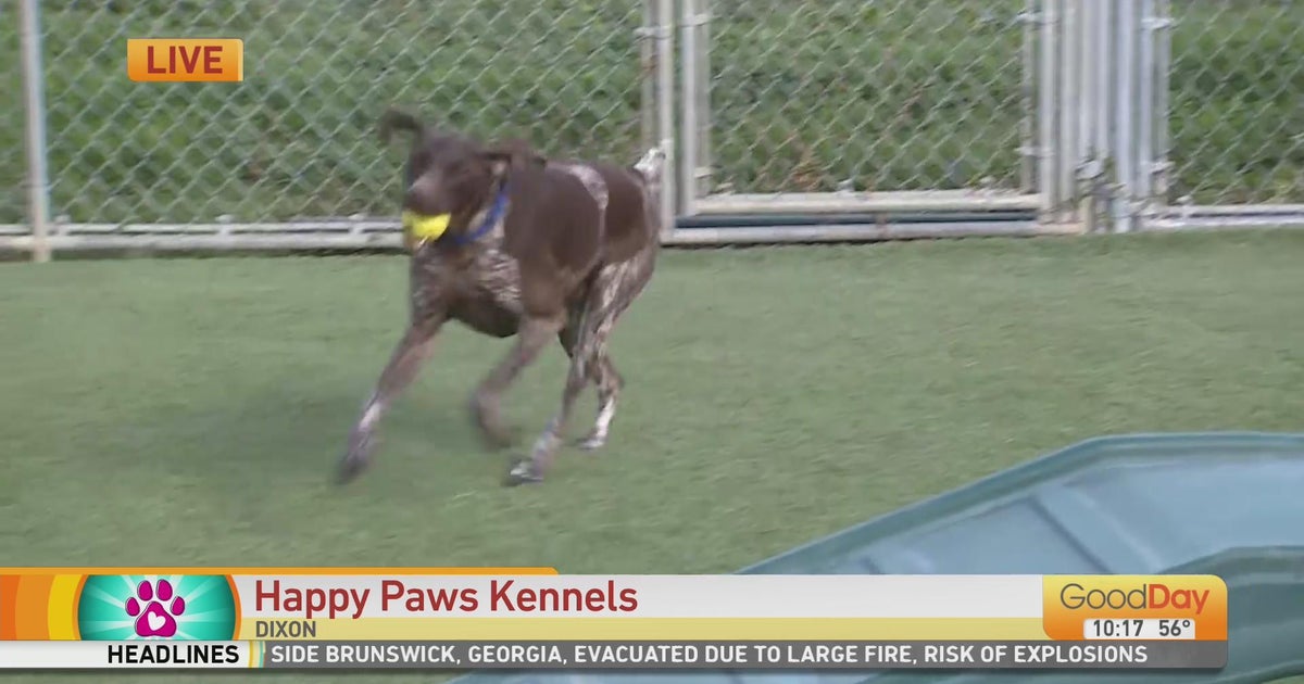 Happy Paws Kennels Dixon Good Day Sacramento