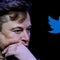 Elon Musk granting amnesty to suspended Twitter accounts