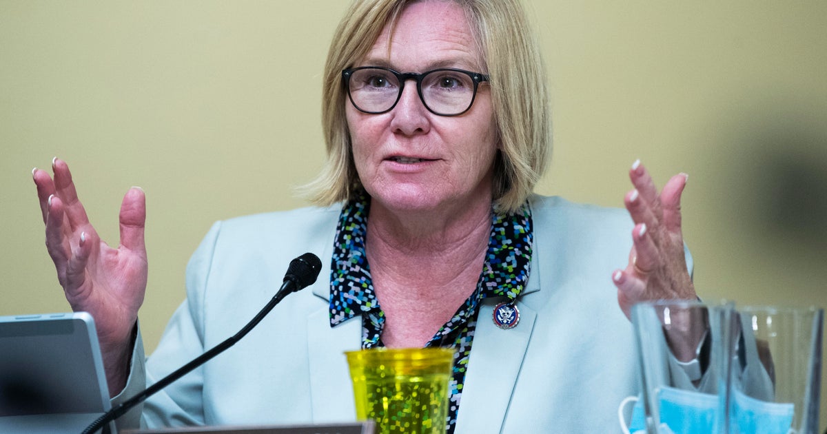 Michelle Fischbach Wins Republican Primary in Minnesota