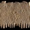 Rare inscription found on comb reveals ancient annoyance with lice