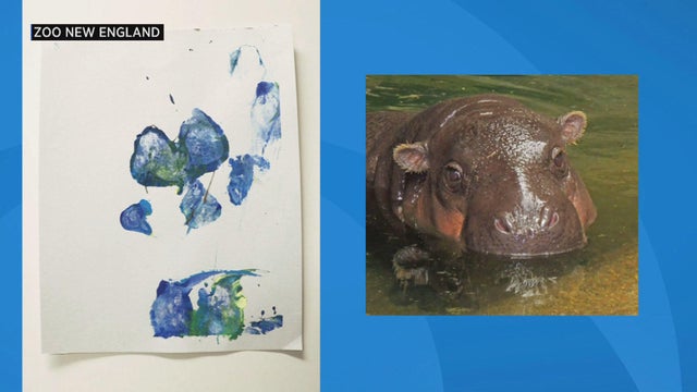 Hippo zoo art 