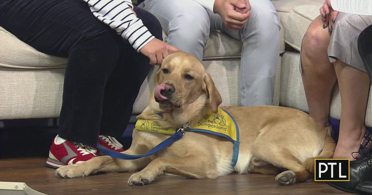 How Canine Companions' dogs train to help veterans CBS Pittsburgh