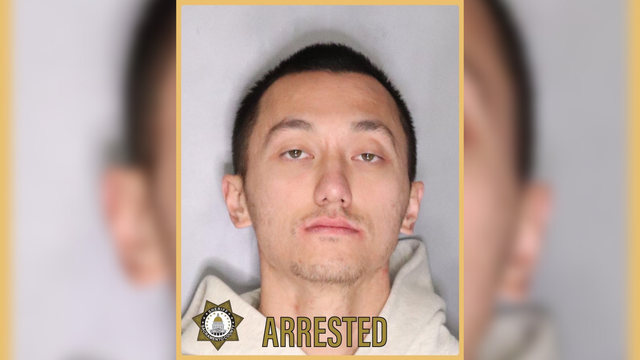 peter-van-phan-mugshot.png 