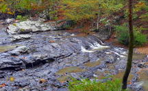 Extended Nature Video: Autumn colors in Arkansas 