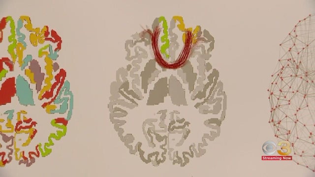c86de63252dde4389b11a9d3512ec57e.jpg 