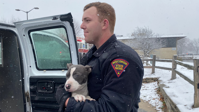 Waukesha County plane crash dogs 