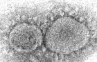 Virus Outbreak New Variant 