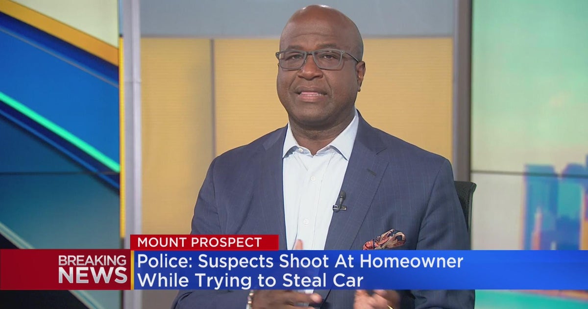 Suspects shoot at homeowner while trying to steal car CBS Chicago